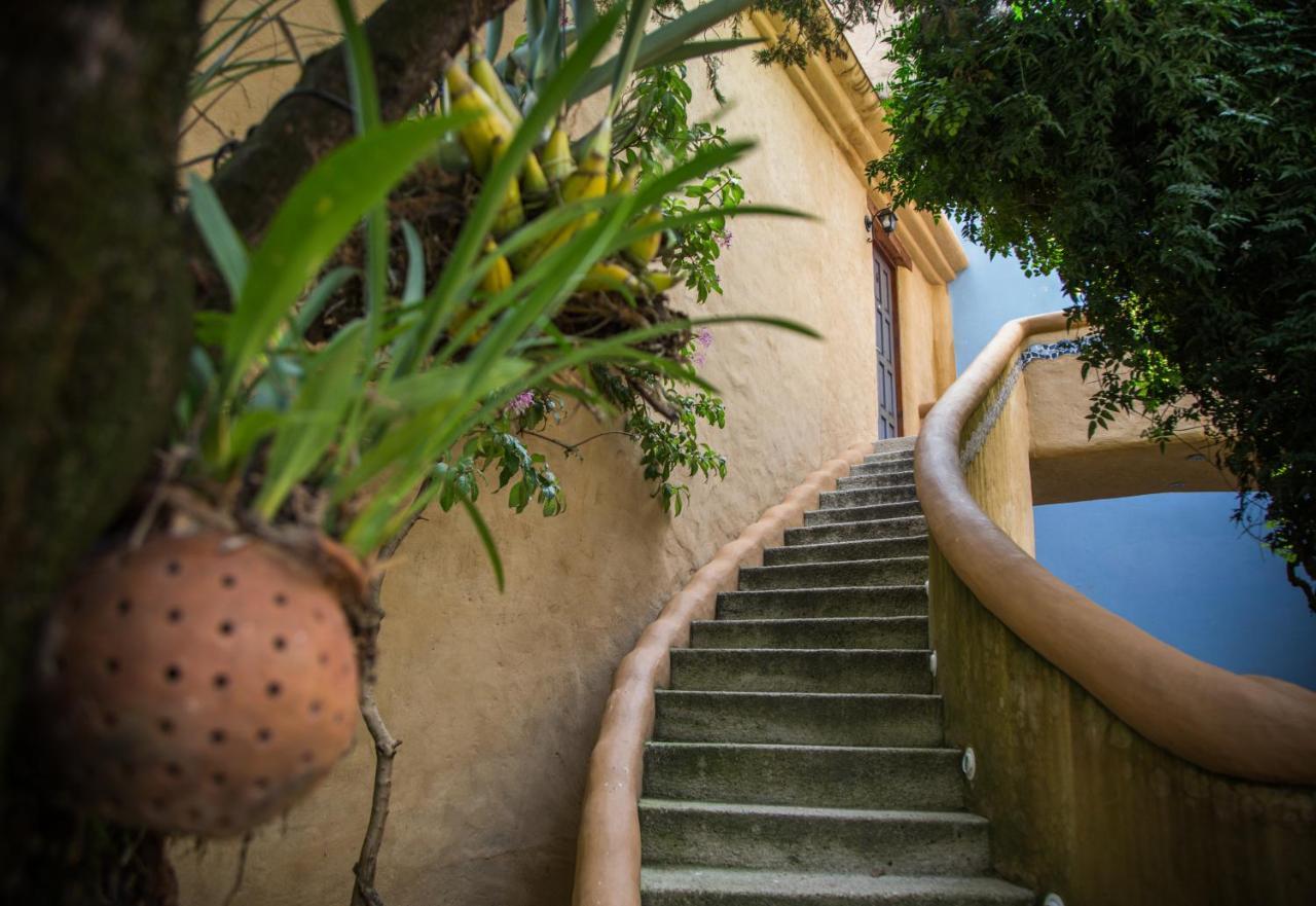 Guayaba Inn Boutique Hotel San Cristóbal de Las Casas エクステリア 写真
