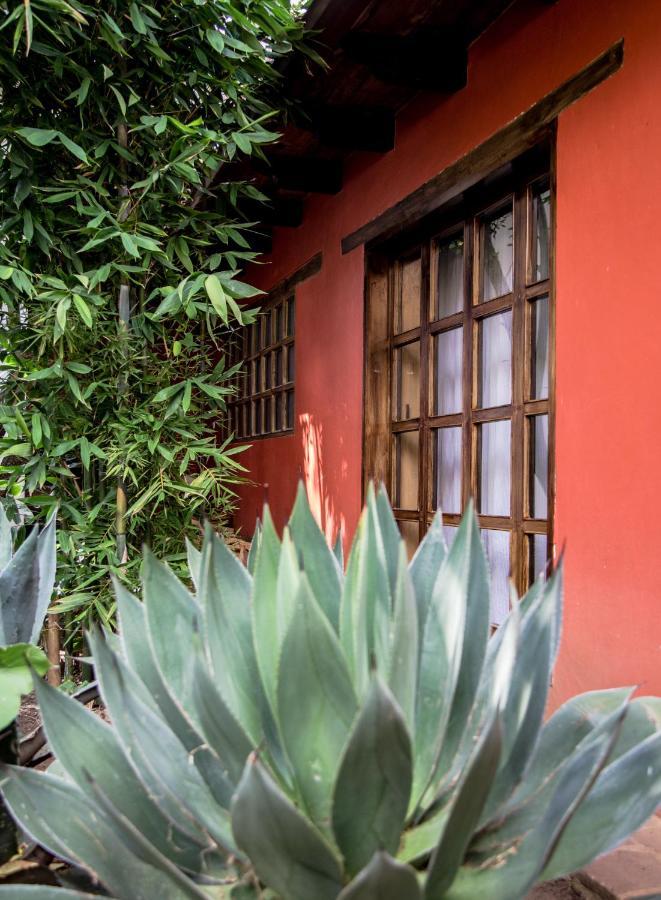 Guayaba Inn Boutique Hotel San Cristóbal de Las Casas エクステリア 写真